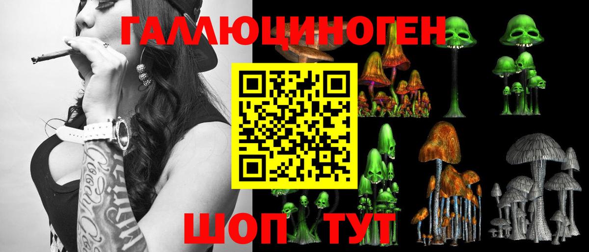 Псилоцибиновые грибы мицелий Сатка